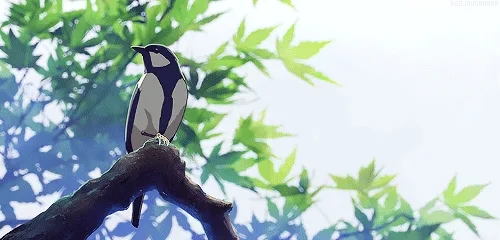 3 Days 3 Quotes Tag | Third Day: Free as a Bird