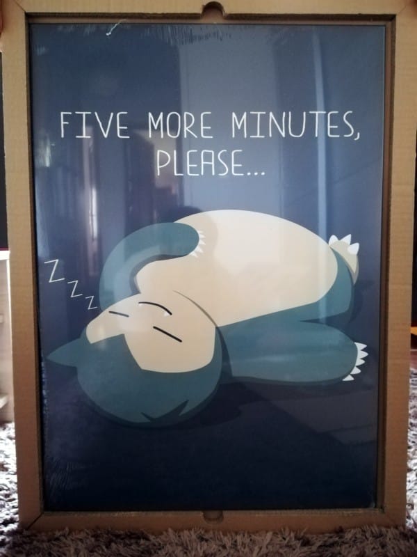 Displate Snorlax Protection